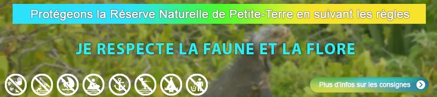 Sensibilisation sur la protection de Petite-Terre