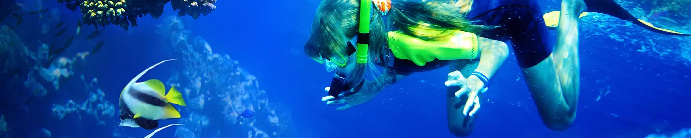 Top Snorkeling and Scuba Diving in La Desirade