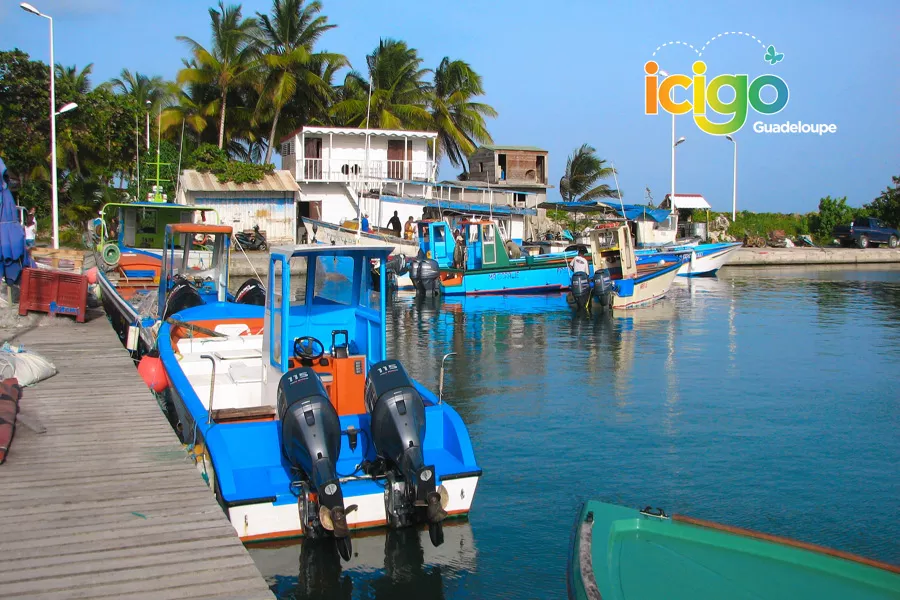 Visiter la Désirade  Guadeloupe - Famille en voyage