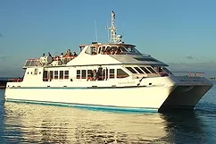 La Desirade Small-Group Tour via Boat with Lunch 2024 - Guadeloupe